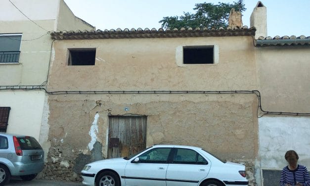 Árbol en el interior de una vivienda en la calle San Francisco