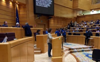 Severa González propone un gran Pacto de Estado para luchar contra la Violencia de Género.