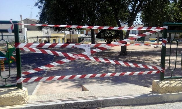 El PP presenta una moción para crear un plan específico de mantenimiento del arbolado en el municipio de Jumilla