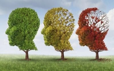 Los Populares presentan una moción sobre adopción de medidas para la mejora de condiciones en el uso de edificios municipales para personas con alzheimer